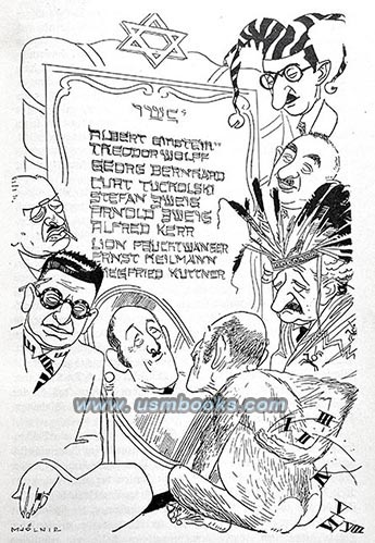 anti-Jewish Mjlnir illustration