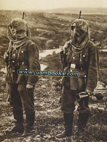 Wehrmacht / RAD mosquito protection