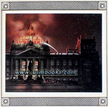 the Burning of the Reichstag Building in Berlin