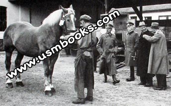Wehrmacht horses