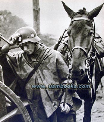 Wehrmacht soldier and his horse