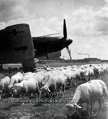 Nazi Junkers airplane