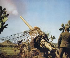 Nazi field gun