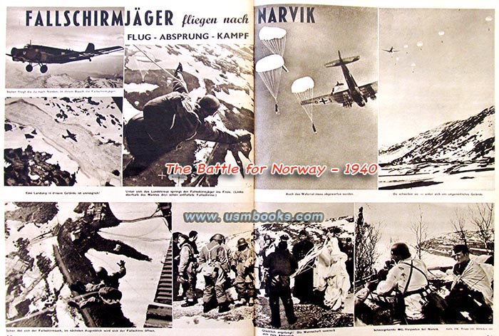 Fallschirmjaeger Narvik 
