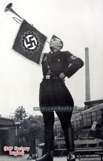 Nazi swastika DAF flag
