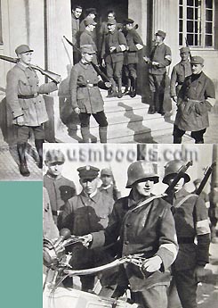 NS Bewegung, Old Guard Hitler movement