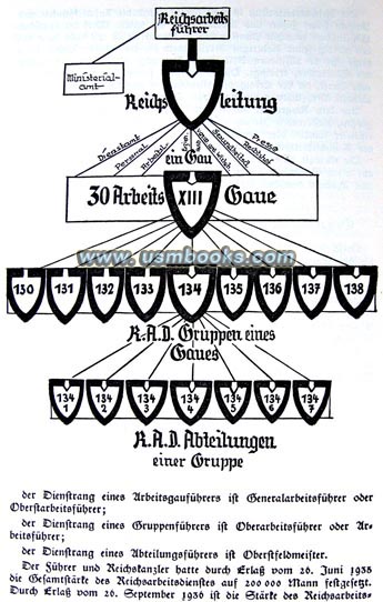 organization of the RAD