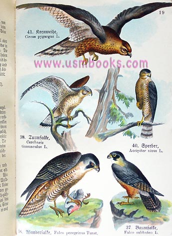 1941 Nazi bird book