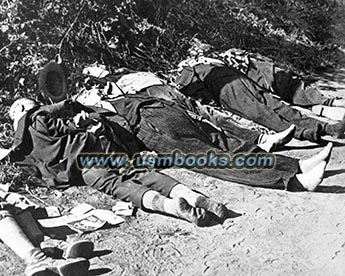 massacred ethnic Germans in Poland, Polnische Blutschuld, Bromberg massacre