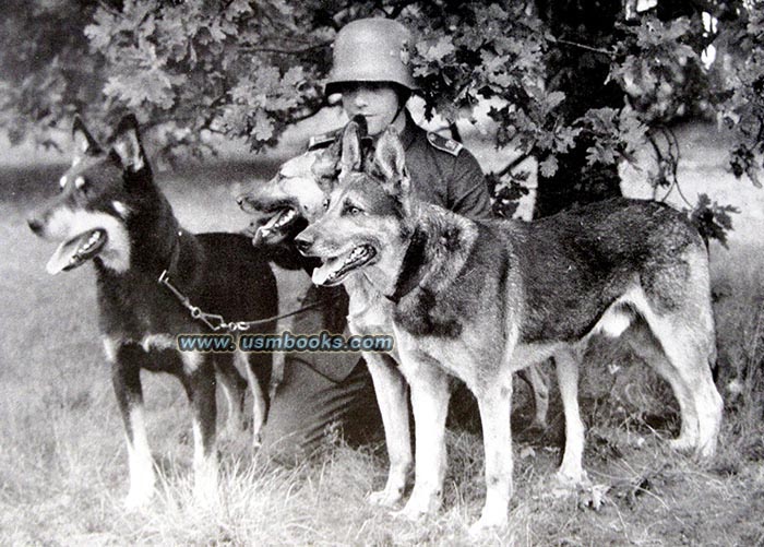 Nazi soldier with German shepherds
