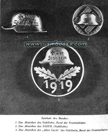 Stahlhelm insignia