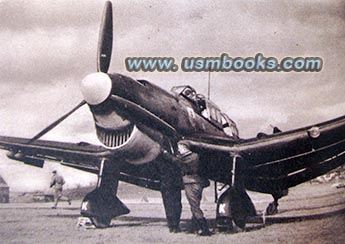 Ju 87,Sturzkampfflugzeug