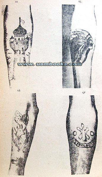 Nazi concentration camp tattooed specimen