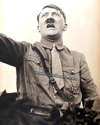 Hitler speech, Hitler Rede