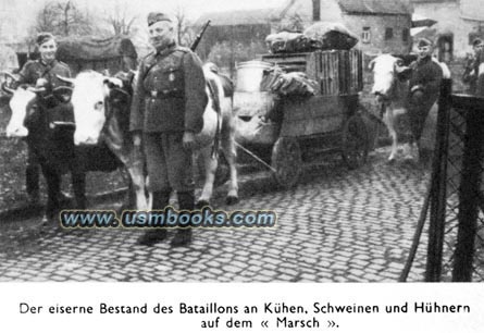 Wehrmacht logistics