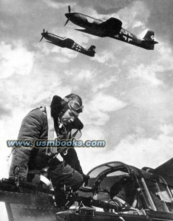 Luftwaffe pilot