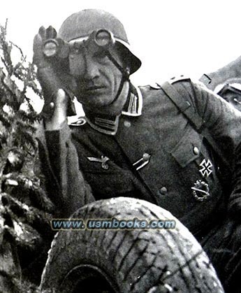 decorated Nazi Panzerjger