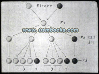 3. Reich Vererbungslehre