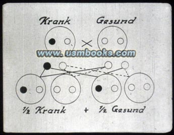 Gesund vs Krank