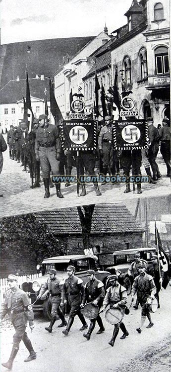 the early Nazi Movement