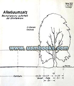 tree placement along Landstrassen in Nazi Germany