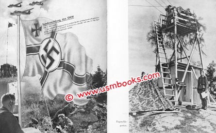 Nazi swastika flag