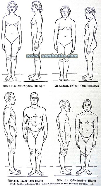 Nordic body features