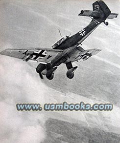 Luftwaffe Stukas