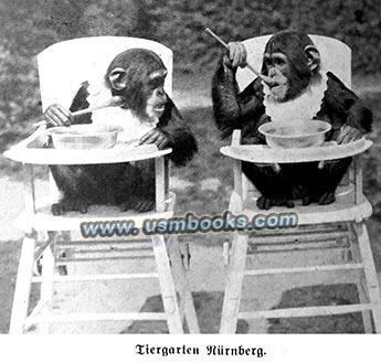 Nuremberg zoo advertising 1934