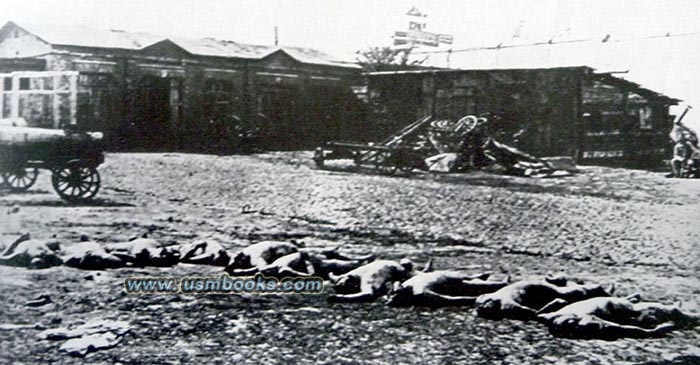 communist murder victims in Kharkiv, Ukraine