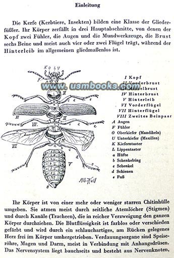 1941 Nazi pocket guide on insects of the forests