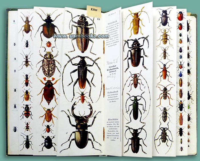 1941 illustrated Nazi bug book